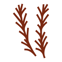 rosemary icon burgundy
